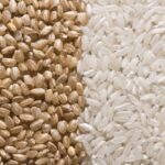 White vs. Brown Rice Health Comparison: Debunked